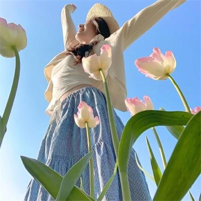糖小姐探案集